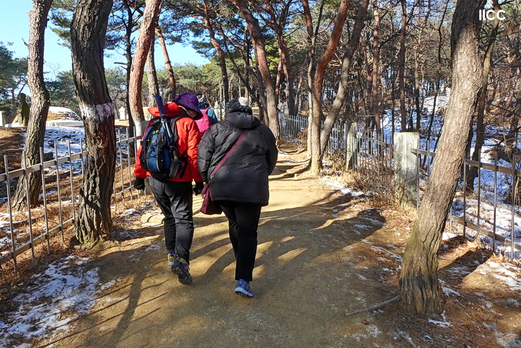 P1020341.JPG