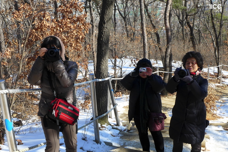P1020358_1.JPG