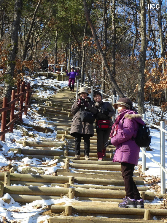 P1020361.JPG