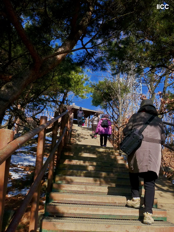 P1020369.JPG